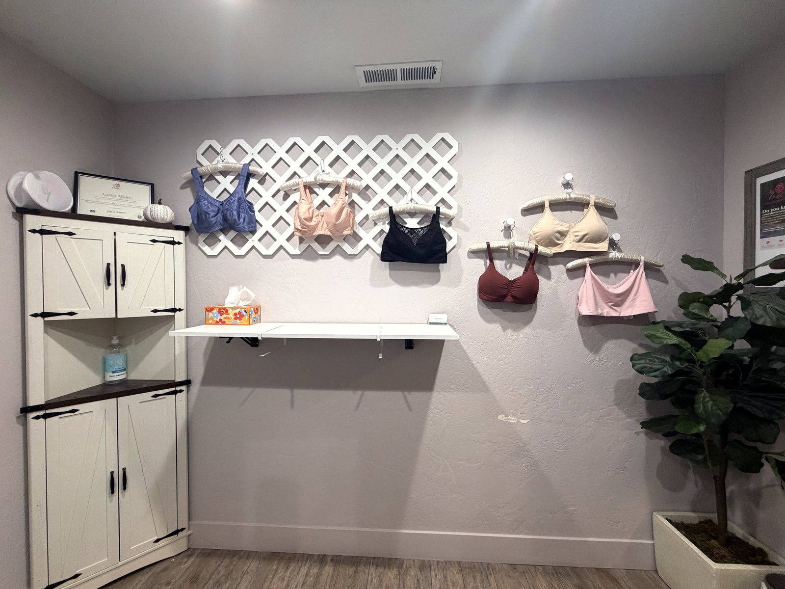 Active Medical private fitting room with mastectomy bras displayed on a white lattice, a cabinet, a shelf and a potted fig tree